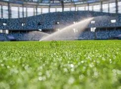 湖迷巨头怒,斥球队,怎能输给快,PA,PA平台,PA官网,PA真人,PA百家乐,PA真人