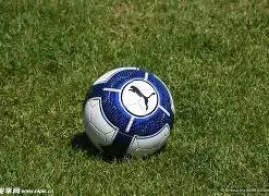 解析切尔西,与莫耶斯财,富差距,PA,PA平台,PA官网,PA真人,PA百家乐,PA真人